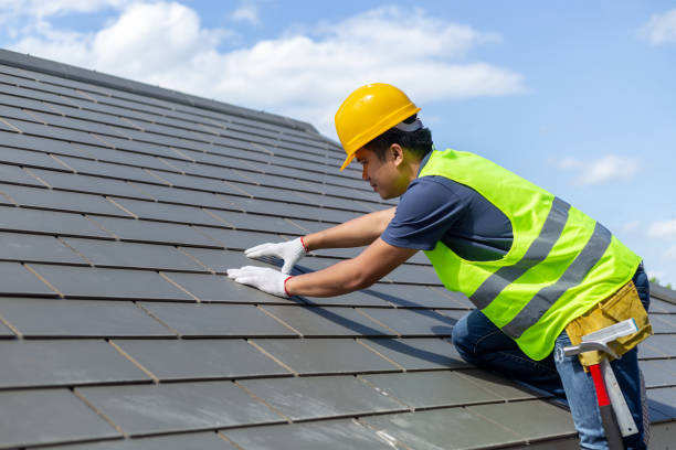 Best Roof Gutter Cleaning  in Hawaiian Ocean View, HI